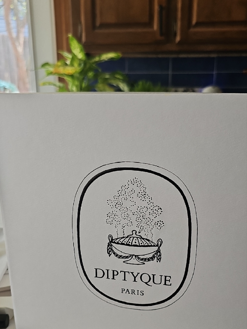 Diptyque Perfume Sample Set with 2 Branded Cinch Bags, Branded Box and Matches. - Picture 3 of 3